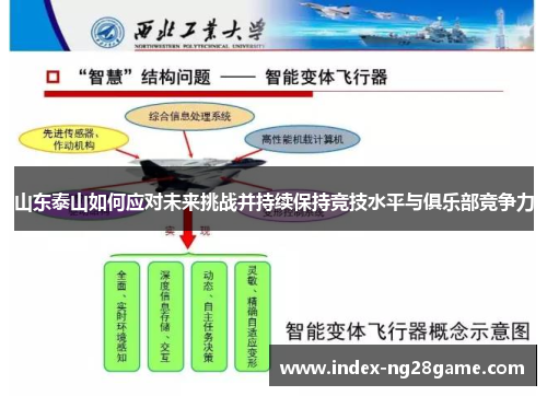 山东泰山如何应对未来挑战并持续保持竞技水平与俱乐部竞争力