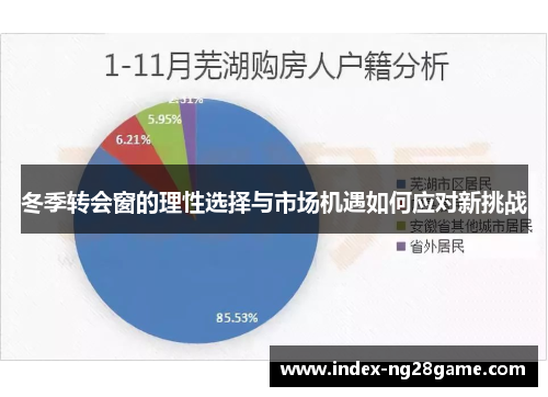 冬季转会窗的理性选择与市场机遇如何应对新挑战