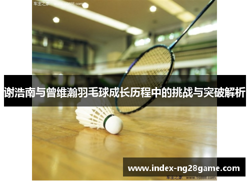 谢浩南与曾维瀚羽毛球成长历程中的挑战与突破解析