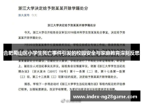 合肥蜀山区小学生死亡事件引发的校园安全与家庭教育深刻反思