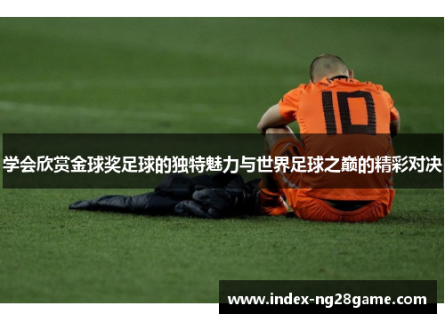 学会欣赏金球奖足球的独特魅力与世界足球之巅的精彩对决