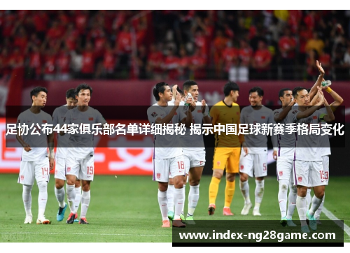 足协公布44家俱乐部名单详细揭秘 揭示中国足球新赛季格局变化